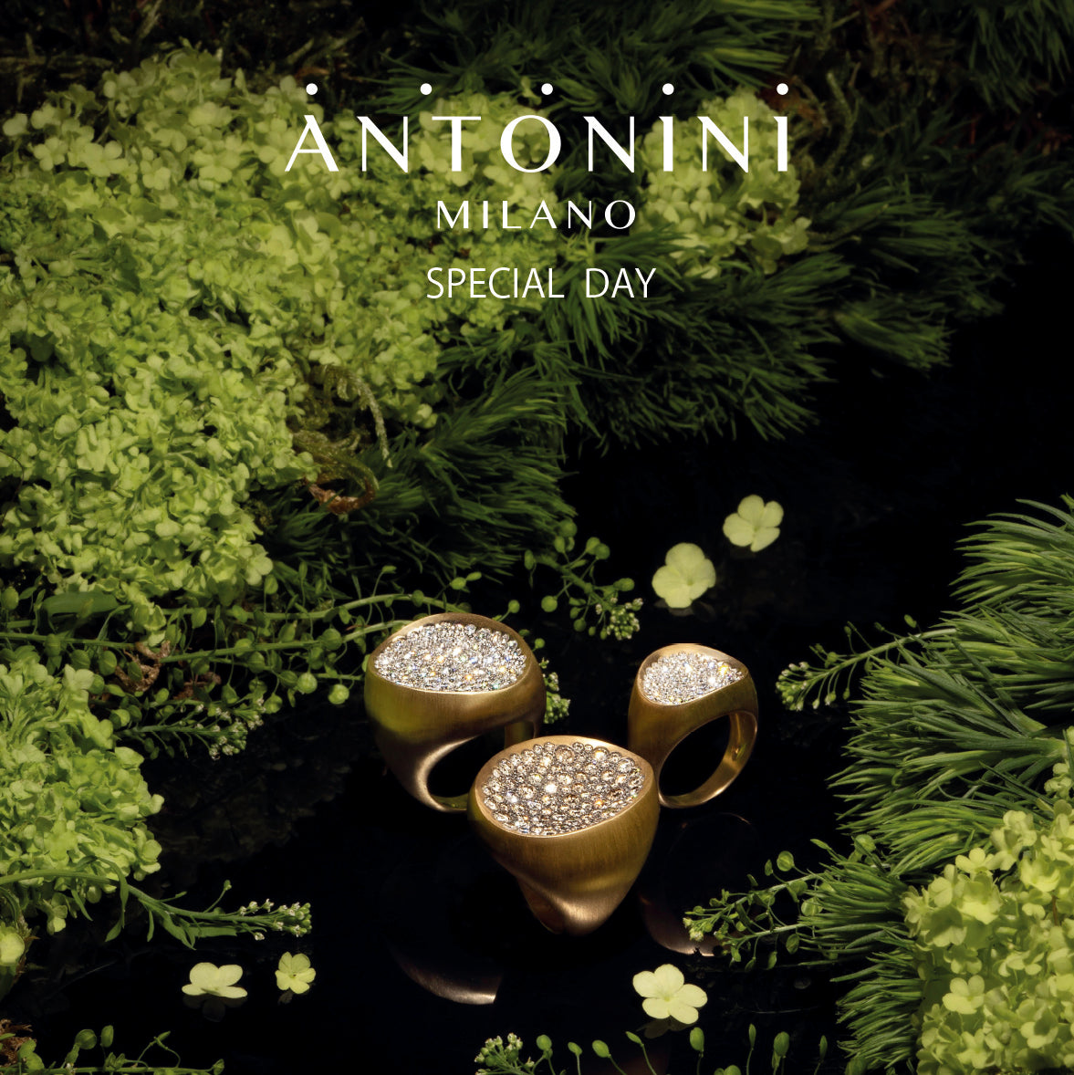 ANTONINI SPECIAL DAY