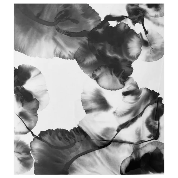 Haruna Mizoguchi 「 RESONANCE 共鳴 」