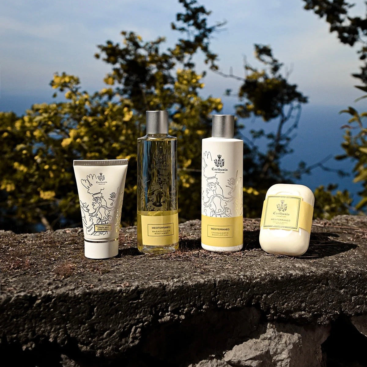 CARTHUSIA SUMMER RECOMMEND
