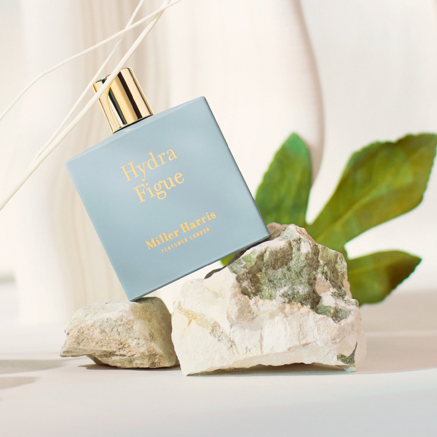 Miller Harris [ミラーハリス] / HYDRA FIGUE (50ml)〔イドラ フィグ オーデパルファム〕