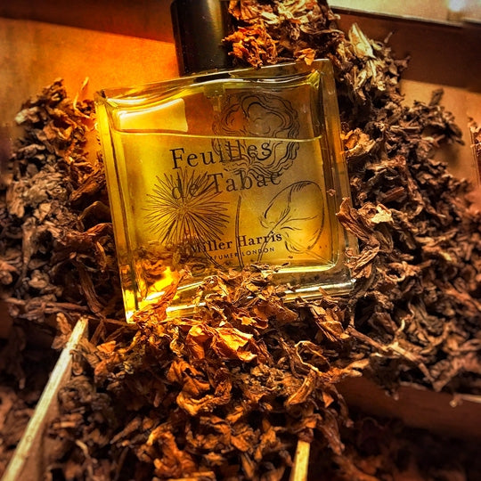 Miller Harris [ミラーハリス] / FEUILLES DE TABAC (50ml)〔フェイーユド タバック オーデパルファム〕