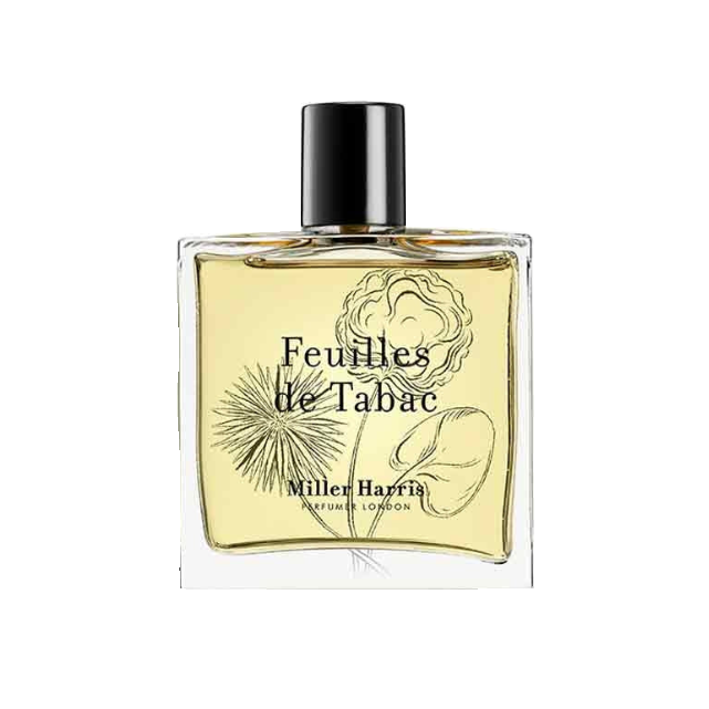 978235051198086678FeuillesdeTabac_a290aabd-d9e7-470e-a283-3fea3f022b48.png